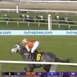 Toasted Roll leading the field